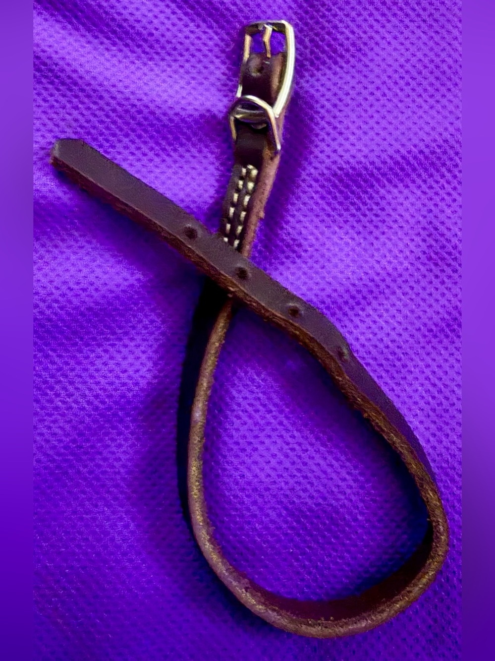 🐾 Classic Brown Leather Slip Lead with Metal Buckle